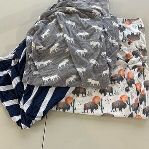 Carseat Canopy & Nursing Covers